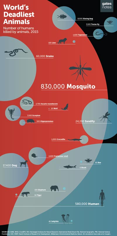 mosquito most dangerous animal