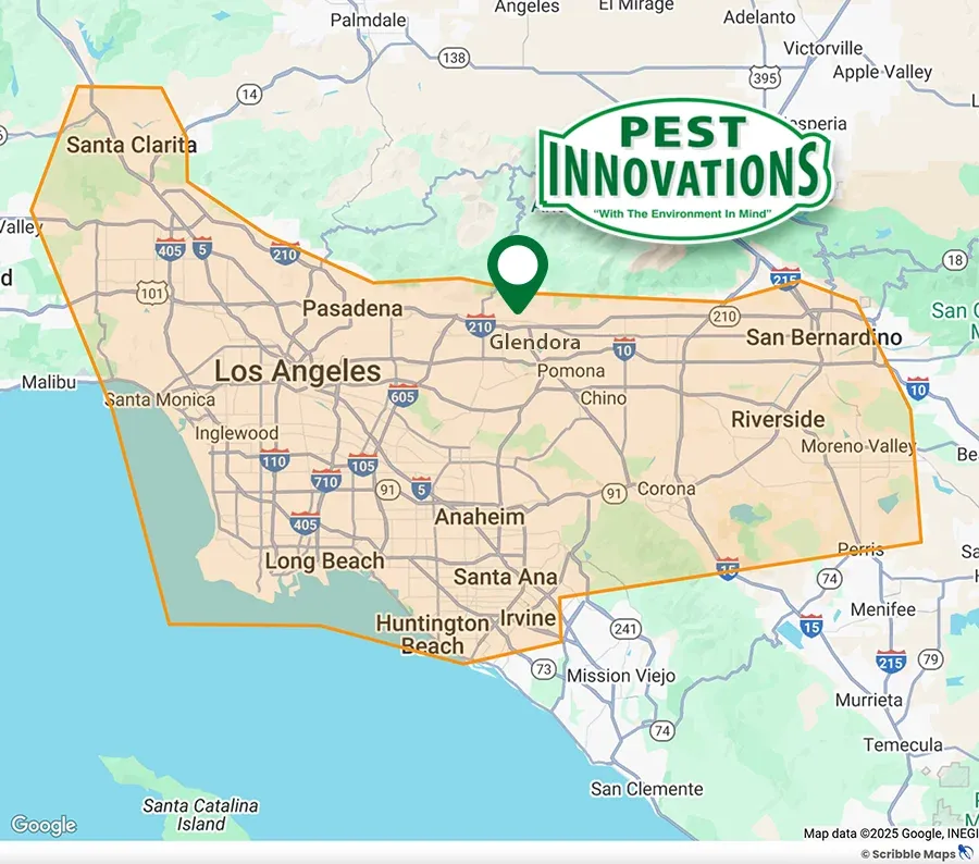 Pest Innovations Service Areas Map Los Angeles, CA Glendora, CA